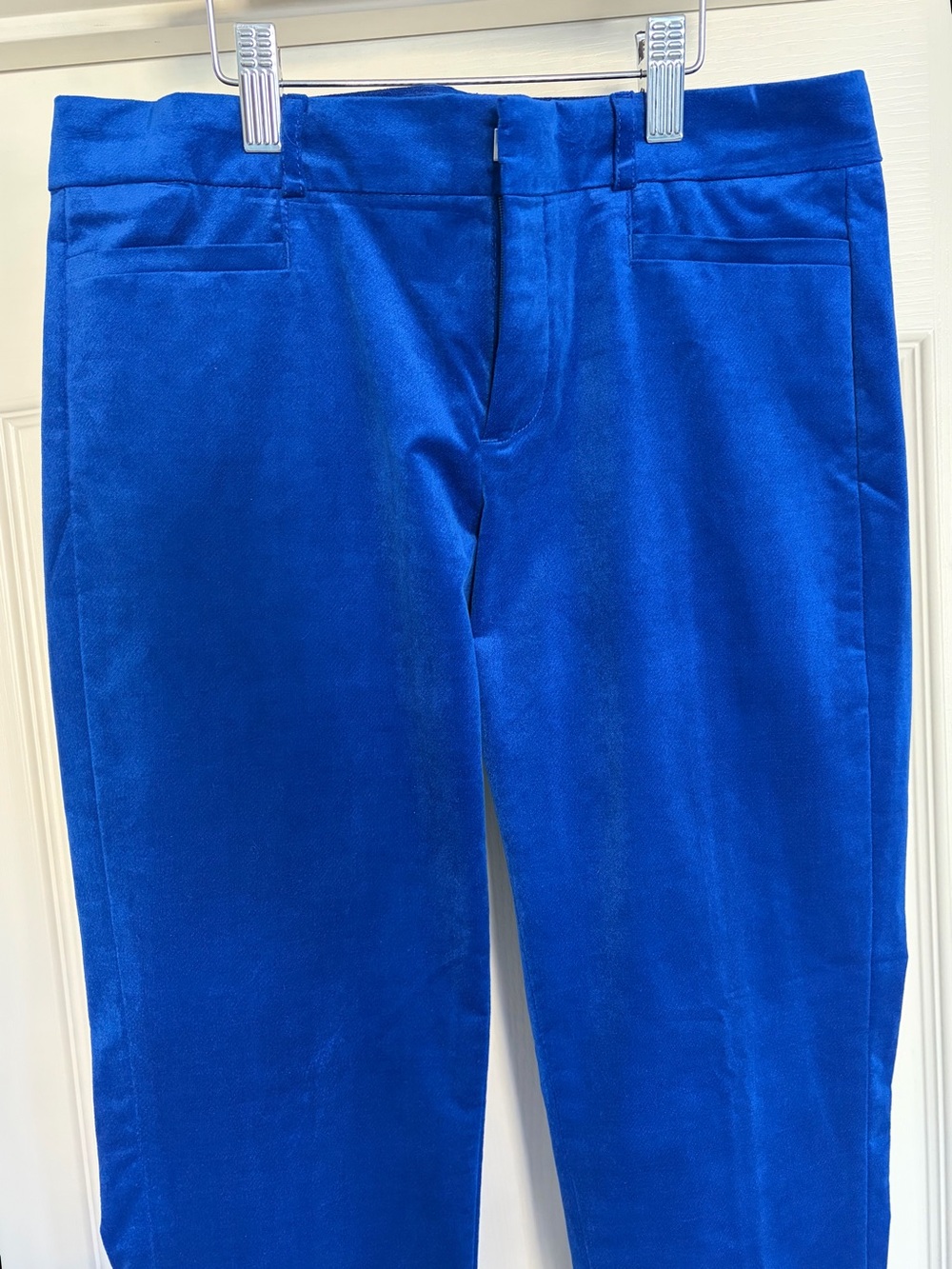 Banana Republic Women's Velvet Sloan Dress Pants in Cobalt Blue